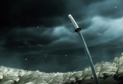 炉石传说鱼人骑开什么卡，炉石传说鱼人骑卡应该买什么卡牌包？