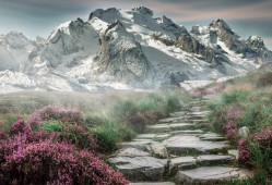 浦木宏为什么杀西玛？浦木宏实力？