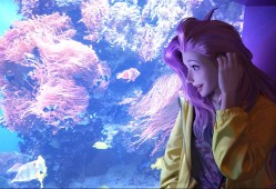 魔兽世界如何去外域/魔兽世界怎样去外域